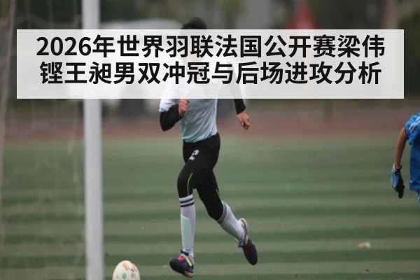 2026年世界羽联法国公开赛梁伟铿王昶男双冲冠与后场进攻分析